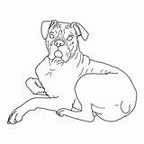 Boxer Dog Lying Down Coloring Pages  Best Place To Color sketch template