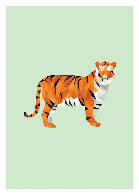 Indian Bengal Tiger Illustration