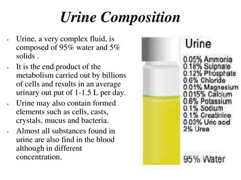 Medical Breakthrough Chemical Composition Of Human Urine