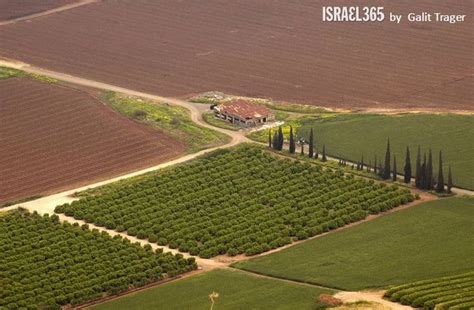 Photo: Gave Us This Land | Photo, Bnei brak, Israel