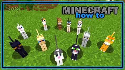 Everything You Need to Know About Cats in Minecraft! | Easy Minecraft Mob Guide - YouTube