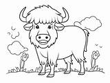 Easy To Color Buffalo Drawing  Coloring Page sketch template