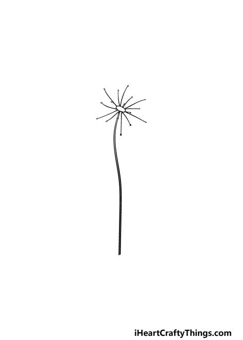 Dandelion Drawing - How To Draw A Dandelion Step By Step