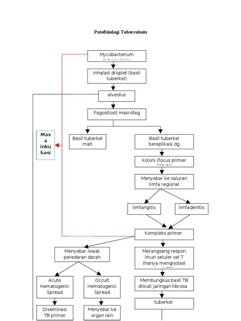 Patofisiologi Tuberculosis | PDF