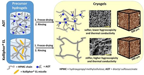 Gels | Free Full-Text | Tuning the Mechanical and Thermal Properties of Hydroxypropyl ...