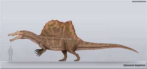 Spinosaurus Size by SameerPrehistorica on DeviantArt | Prehistoric ...