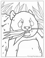 41 Panda Coloring Page Free PDF Printables sketch template