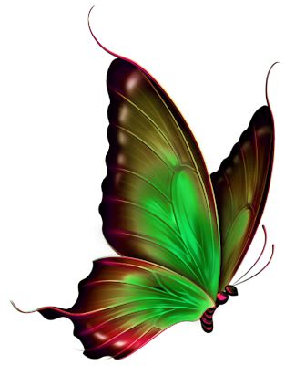 Pin by olivia jesus ds on TUBES DECOR-3 | Butterfly art drawing, Butterfly pictures, Butterfly art
