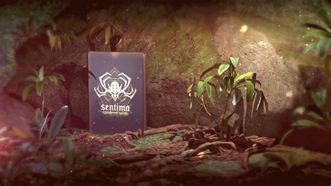 NOW LIVE on kickstarter! Sentima: Sundered Wilds - A TTRPG focused on ...
