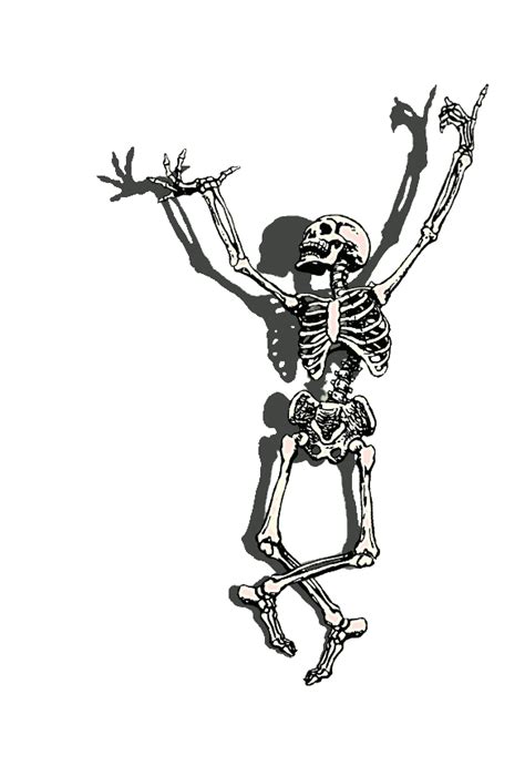 Free Cartoon Skeleton Png, Download Free Cartoon Skeleton Png png images, Free ClipArts on ...