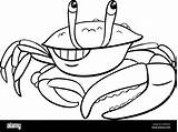 Cartoon fiddler Crab Animal Character coloring Book Page Stock Vector  sketch template