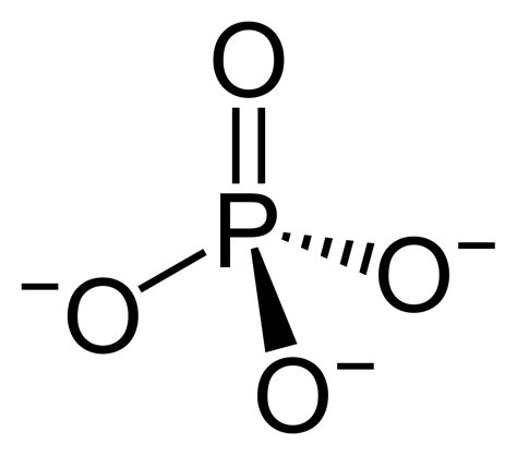 Phosphate - Wikipedia