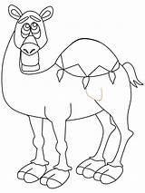 coloring pages camel & Book sketch template