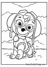 Sky From Paw Patrol Coloring Page At Taredgarblog Blog sketch template