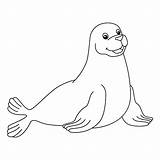 Página Para Colorear De foca Aislada Niños  Vector Premium sketch template