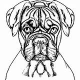 Boxer Dog Coloring Page · Creative Fabrica sketch template