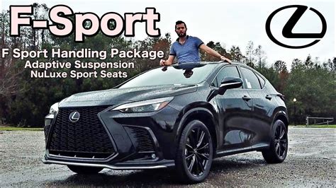 2023 Lexus nx 350 F-Sport: All Spec & Test Drive - YouTube