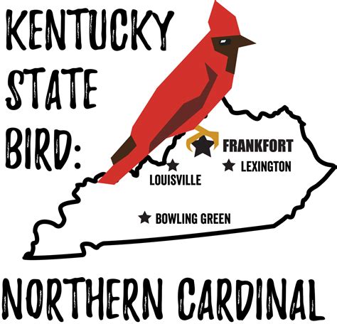 Kentucky State Bird - Bird Watching Academy