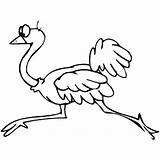 Drawing Ostrich Run coloring Page  Download Print Or Color Online For sketch template