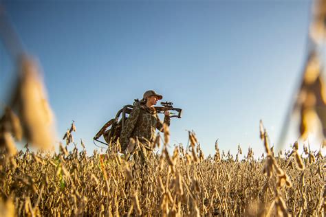 Deer Feeding Times, Figuring Out Whitetail Eating Habits