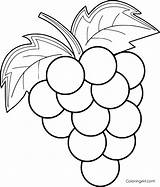 Grapes Coloring Page sketch template