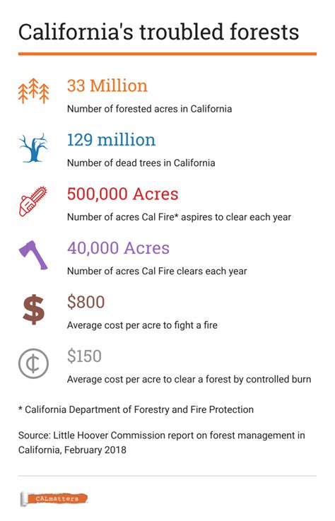 Wildfire Prevention Takes a Back Seat in California | KQED