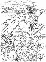 Coloring Books About Crops Pages sketch template