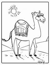 Camel Coloring Pages Free PDF Printables  Simply Love sketch template
