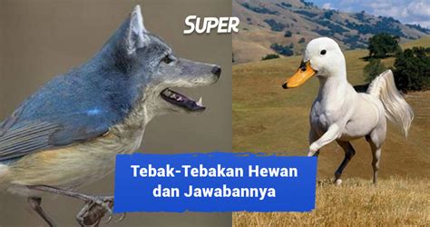 60 Tebak-Tebakan Hewan & Jawabannya yang Bikin Ngakak