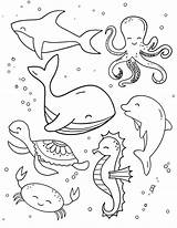 Pinterest  Ocean coloring Pages Coloring Books sketch template