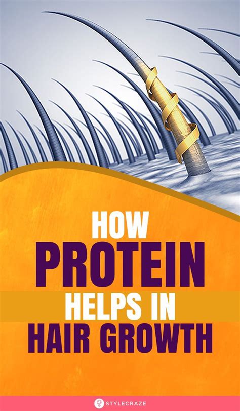 Importance Of Protein For Hair Growth in 2021 | Hair, Hair growth, Increase height exercise