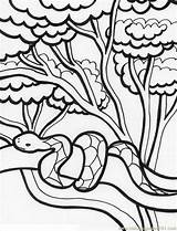 Free Jungle Coloring Sheets Download Png  sketch template