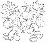 Best Mushrooms Coloring Pages » Turkau sketch template