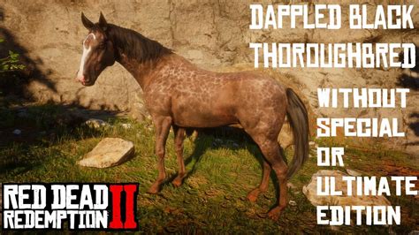 Reverse Dapple Black Thoroughbred without Special or Ultimate Edition | Cheats | RDR2 - YouTube