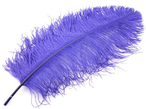 Category: Ostrich feathers natural and dyed – Jaffe