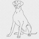 Redbone Coonhound Coloring Page Free Printable Sketch sketch template