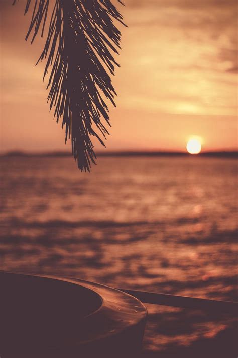 Tropical Sunset Wallpapers - Top Free Tropical Sunset Backgrounds ...