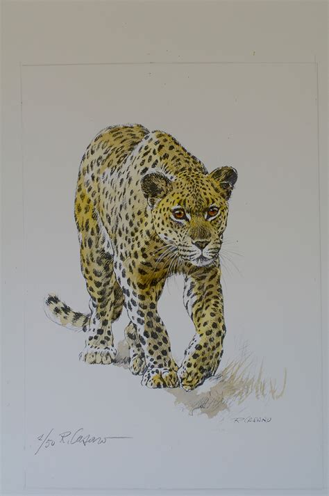 Big five - Leopard - Renato Casaro