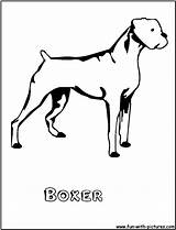 Boxer Coloring Page sketch template