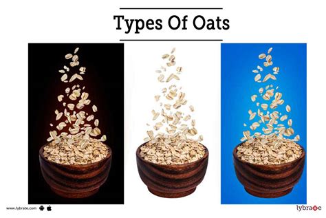 Types of Oats - Which Is The Healthiest One?