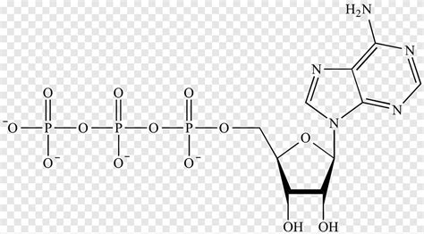 Grupo funcional fosfato química orgánica del fósforo, ángulo, texto png ...