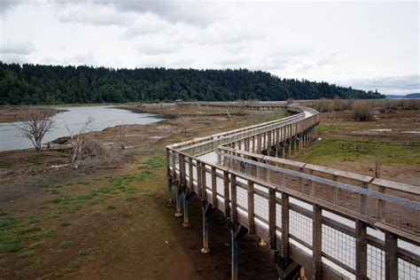 Loving Washington State: Nisqually National Wildlife Refuge