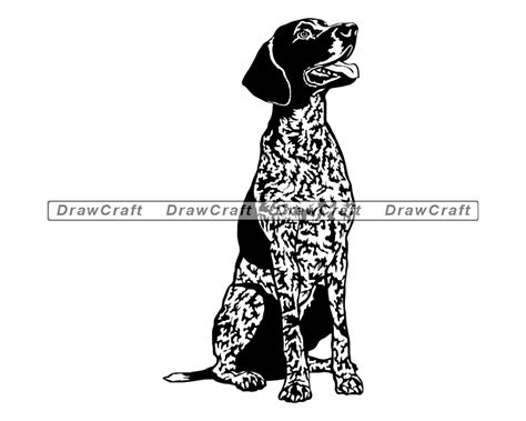 Sitting German Shorthaired Pointer SVG German Shorthaired | Etsy