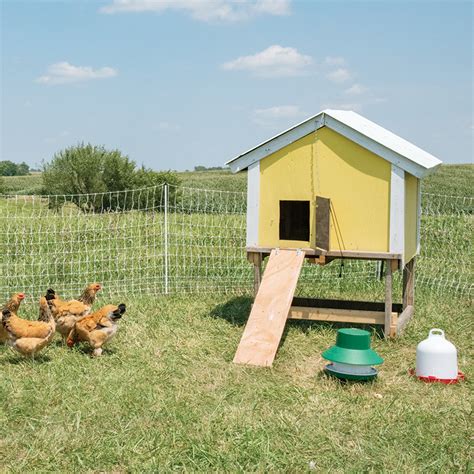 PoultryNet® Plus 12/42/3 Electric Netting for Backyard Chickens and Pasture Grazing ...