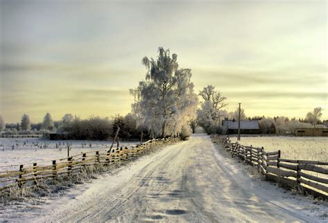 winter in Lithuanian village 2008 photo & image | landscape, seasons ...