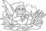 Adorable Gorilla Coloring Pages  Coloring sketch template