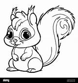 Cute Squirrel Coloring Pages For Kids Stock Vector Image & Art  Alamy sketch template