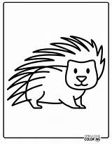 38 Porcupine Coloring Pages Free PDF Printables  Simply Love sketch template