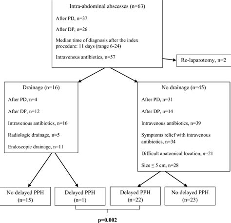 Intra-abdominal abscess management flow chart in the entire cohort | Download Scientific Diagram