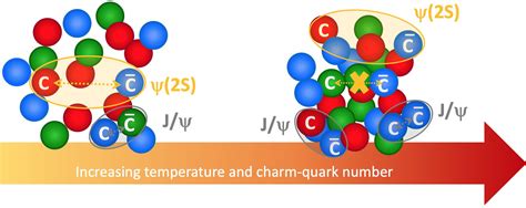 Exploring the hidden charm of quark-gluon plasma